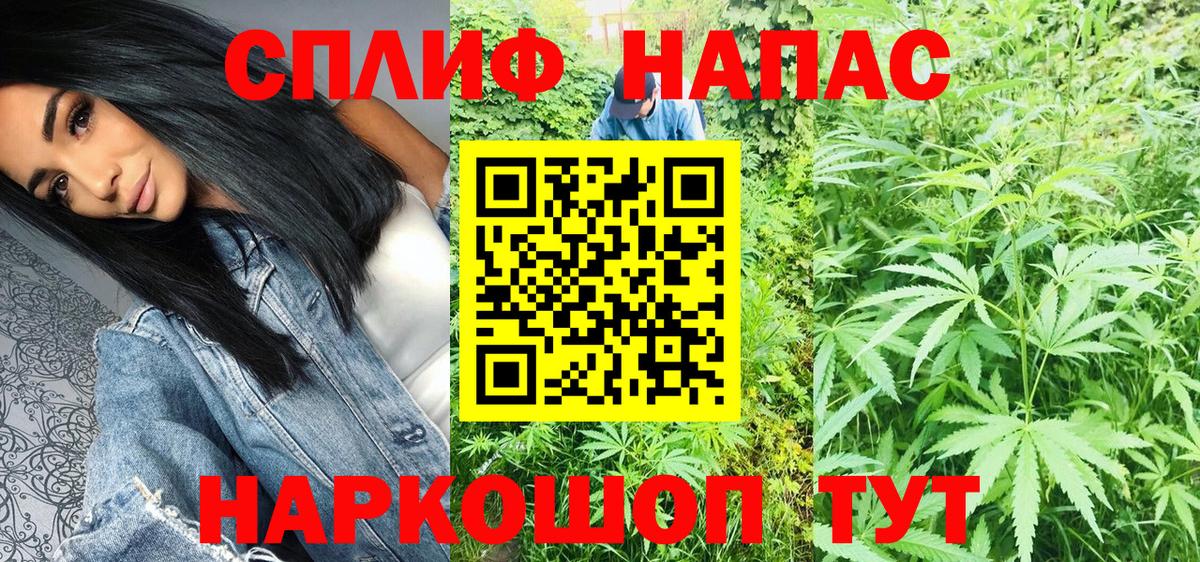Шишки марихуана гибрид  Вход с VPN  Бошки марихуана тримм  Бошки Шишки конопля  Качканар 
